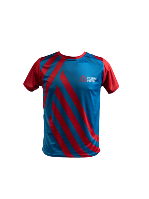 Pánské tričko krátký rukáv